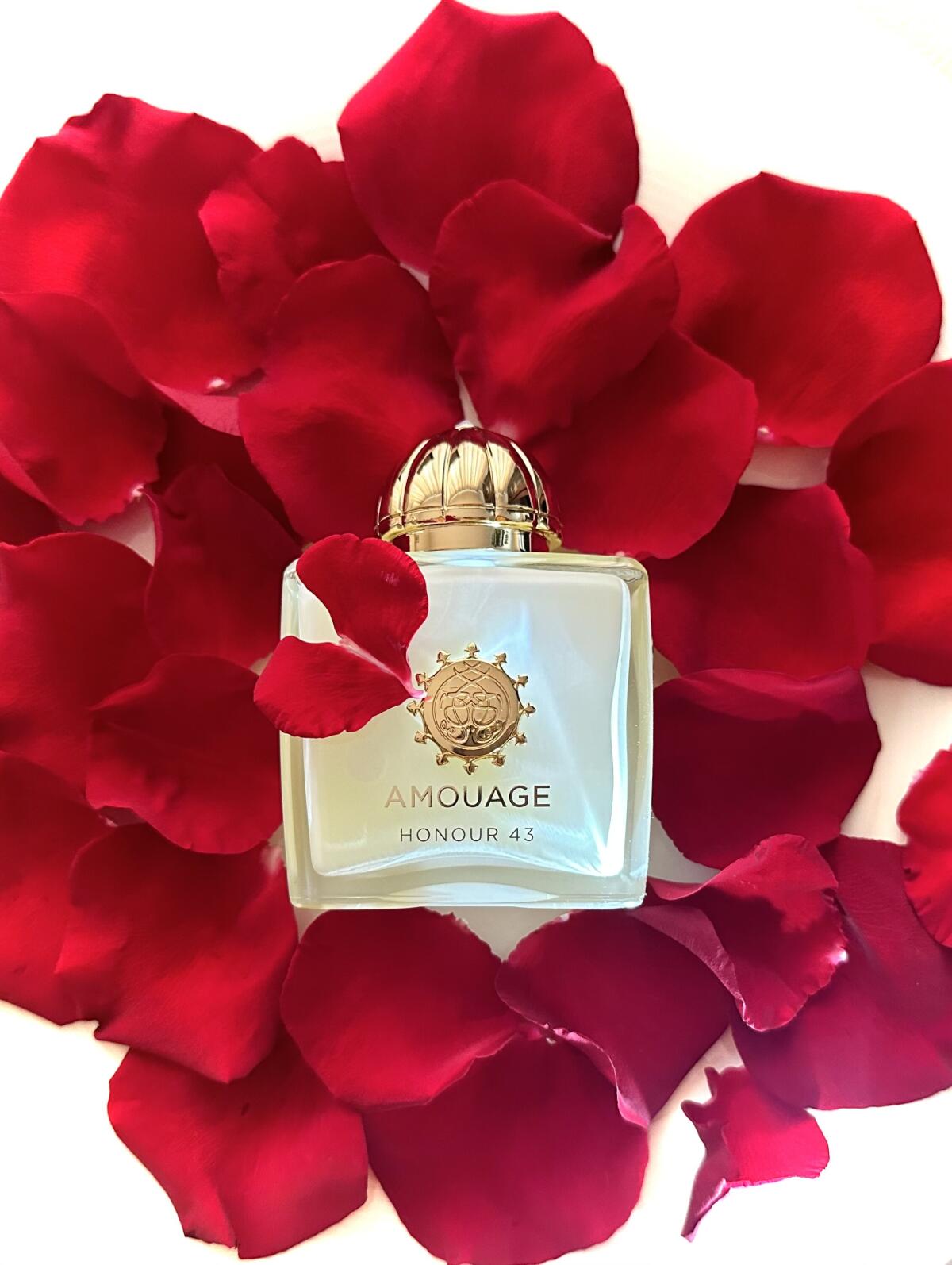 Amouage Honour 43 Woman Extrai – обзор и цена Perfume Fragrance Families