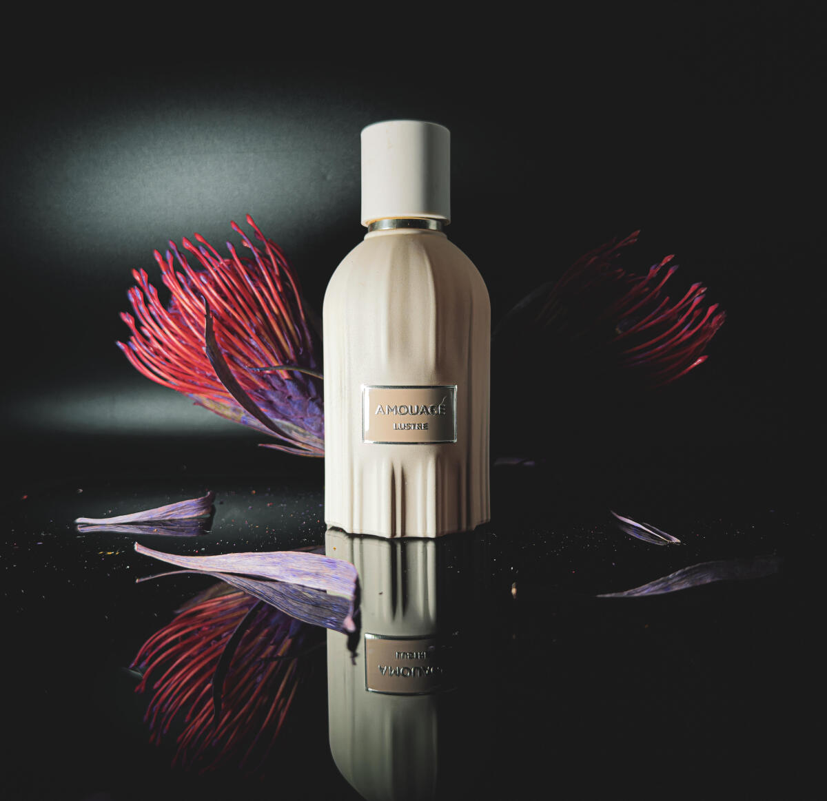 Парфюм Amouage Lustre 100 мл,  – обзор и цена Perfume Fragrance Families